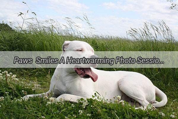 Paws  Smiles A Heartwarming Photo Session Between a Dog and Their Little Master